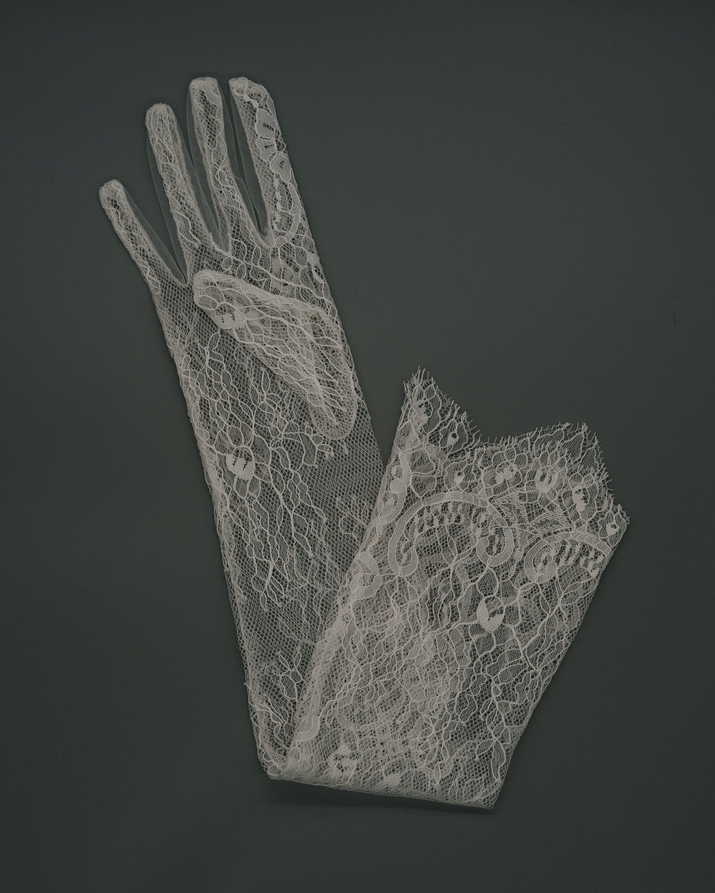 Lace glove LACY - IVORY - 6 pairs