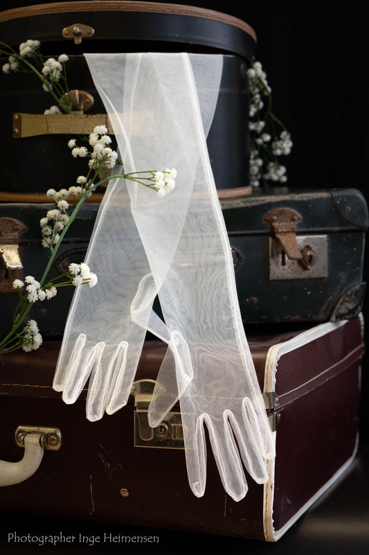 TULLY Long tulle glove - IVORY - 6 pairs